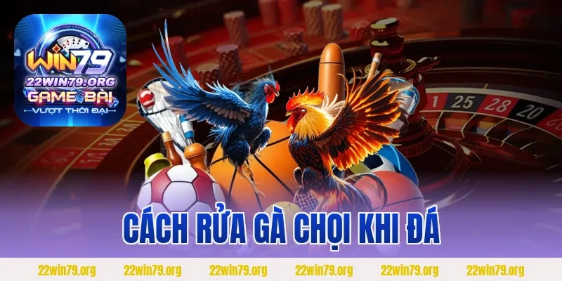 Cách Rửa Gà Chọi Khi Đá