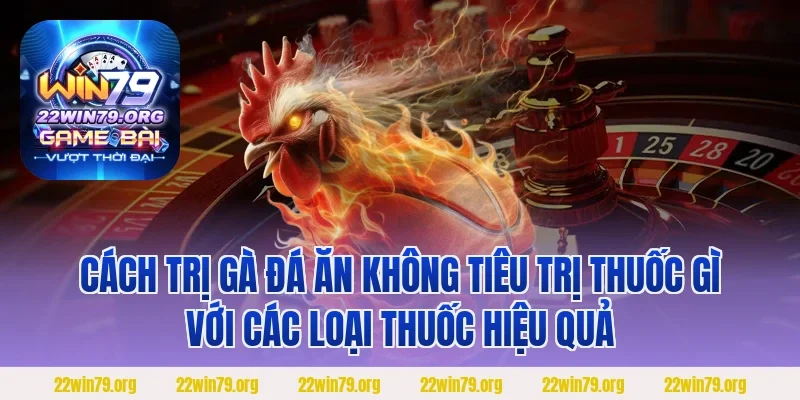 Cách trị gà đá ăn không tiêu trị thuốc gì với các loại thuốc hiệu quả