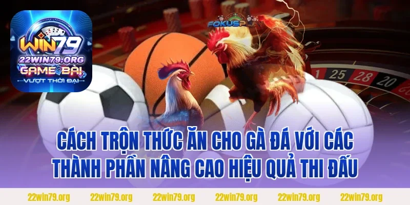 Cách trộn thức ăn cho gà đá với các thành phần nâng cao hiệu quả thi đấu