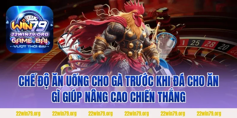 Chế độ ăn uống cho gà trước khi đá cho ăn gì giúp nâng cao chiến thắng