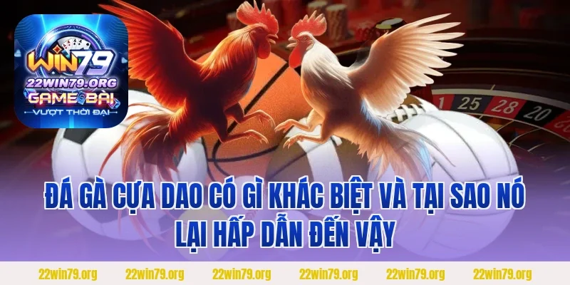 Đá gà cựa dao có gì khác biệt và tại sao nó lại hấp dẫn đến vậy