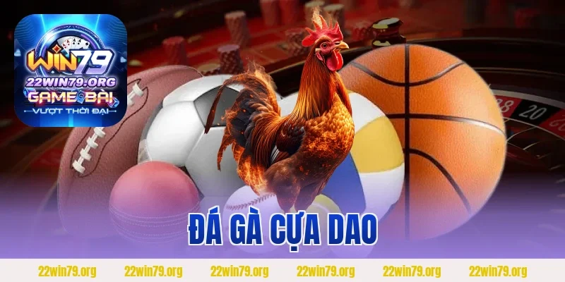Đá Gà Cựa Dao