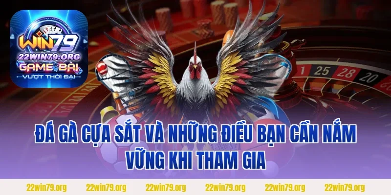 Đá gà cựa sắt và những điều bạn cần nắm vững khi tham gia