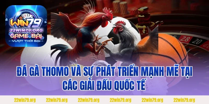 Đá gà Thomo và sự phát triển mạnh mẽ tại các giải đấu quốc tế