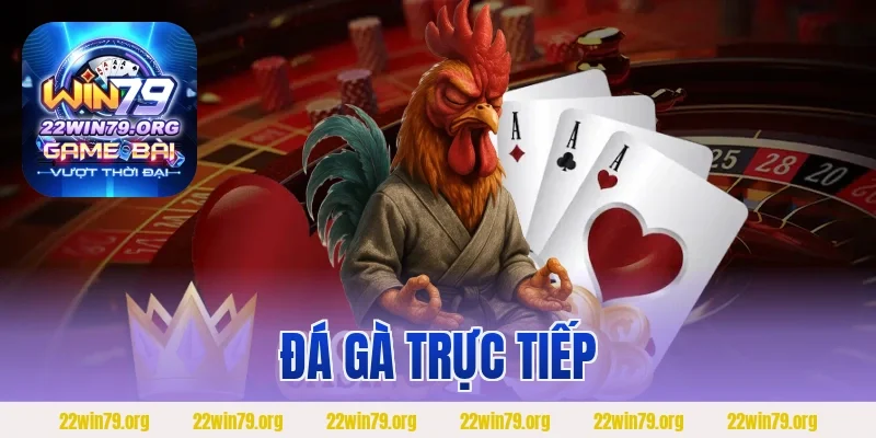 Đá Gà Trực Tiếp