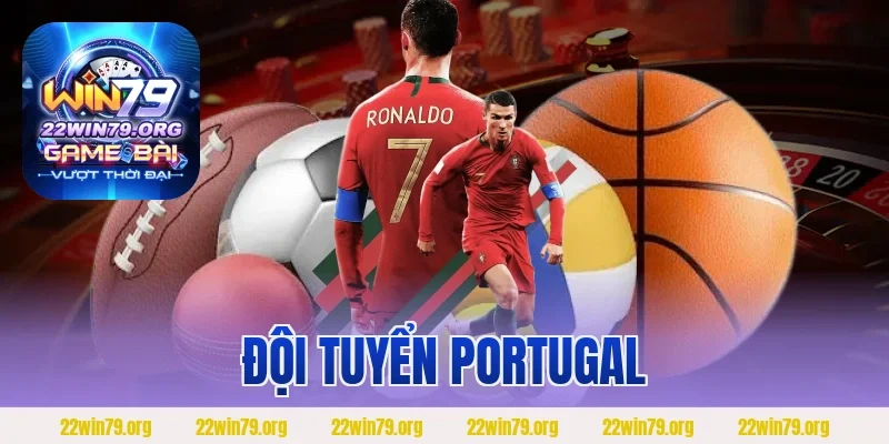 Đội Tuyển Portugal
