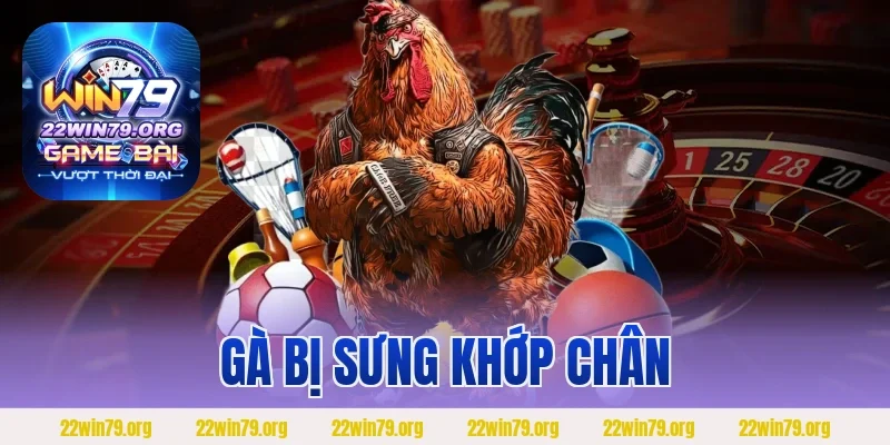 Gà Bị Sưng Khớp Chân