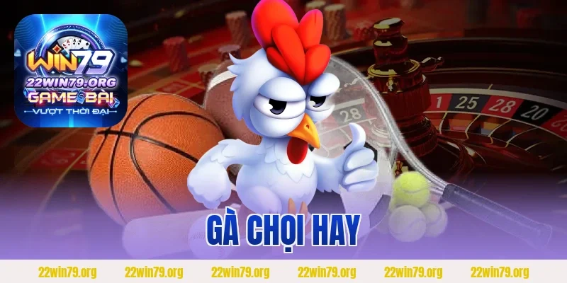 Gà Chọi Hay