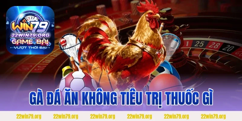 Gà Đá Ăn Không Tiêu Trị Thuốc Gì