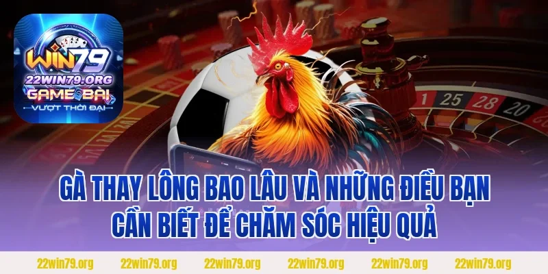 Gà thay lông bao lâu và những điều bạn cần biết để chăm sóc hiệu quả