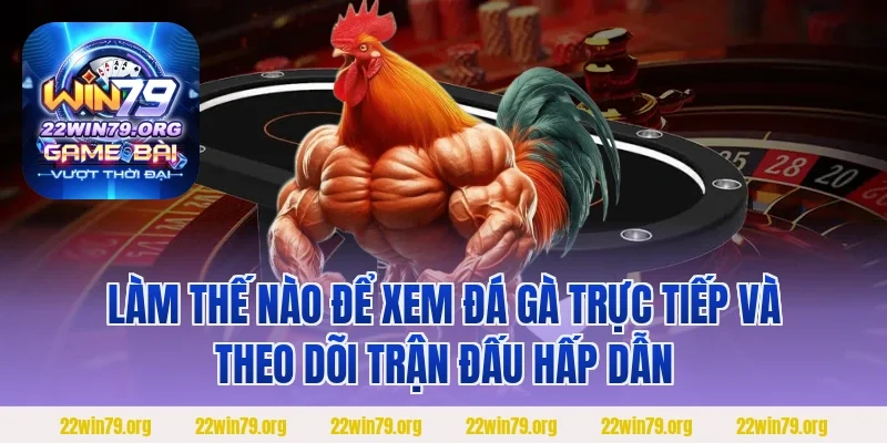 Làm thế nào để xem đá gà trực tiếp và theo dõi trận đấu hấp dẫn