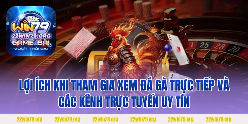 Lợi ích khi tham gia xem đá gà trực tiếp và các kênh trực tuyến uy tín