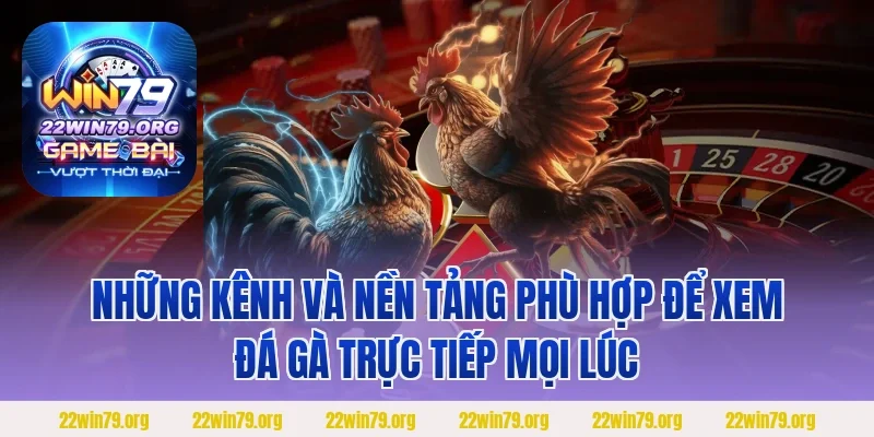 Những kênh và nền tảng phù hợp để xem đá gà trực tiếp mọi lúc