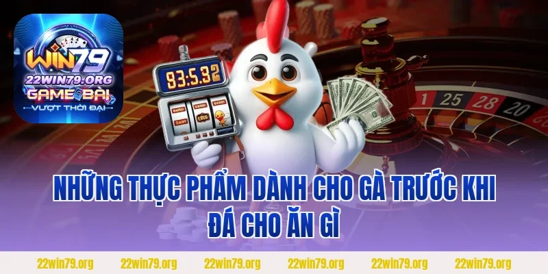 Những thực phẩm dành cho gà trước khi đá cho ăn gì