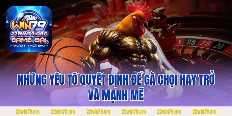 Những yếu tố quyết định để gà chọi hay trở và mạnh mẽ