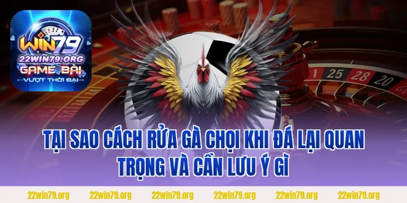 Tại sao cách rửa gà chọi khi đá lại quan trọng và cần lưu ý gì