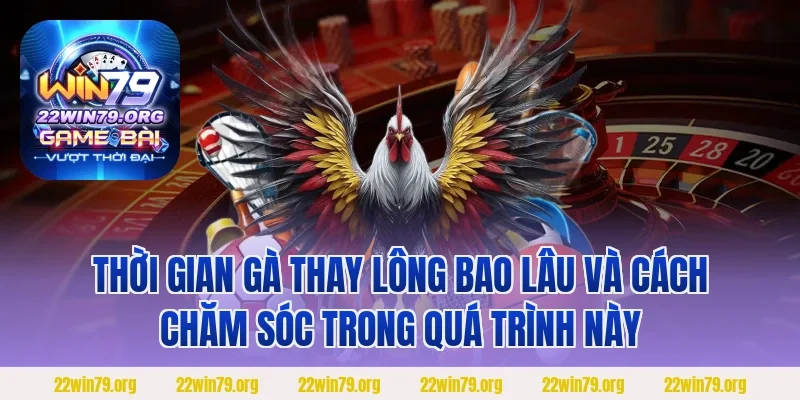 Thời gian gà thay lông bao lâu và cách chăm sóc trong quá trình này