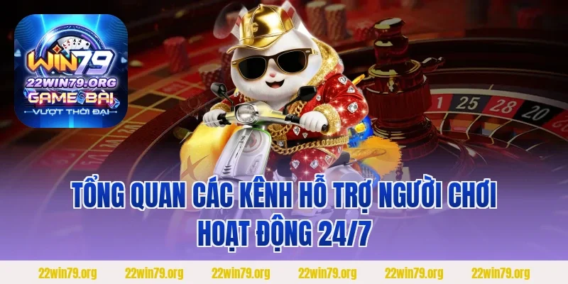 Tổng quan các kênh hỗ trợ người chơi hoạt động 24/7