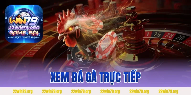 Xem Đá Gà Trực Tiếp